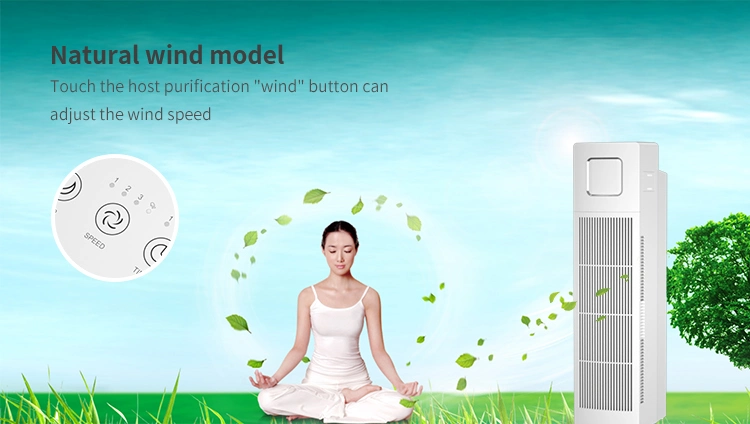 Backnature Wholesale Best Air Purifier From Professional OEM Air Purifier Factory Since 2005