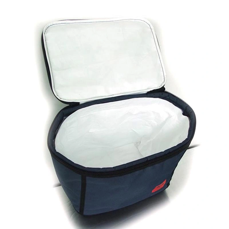 Dry Ice Compliance Medical Medicine/Blood/Vaccine Carry Cooler Bag