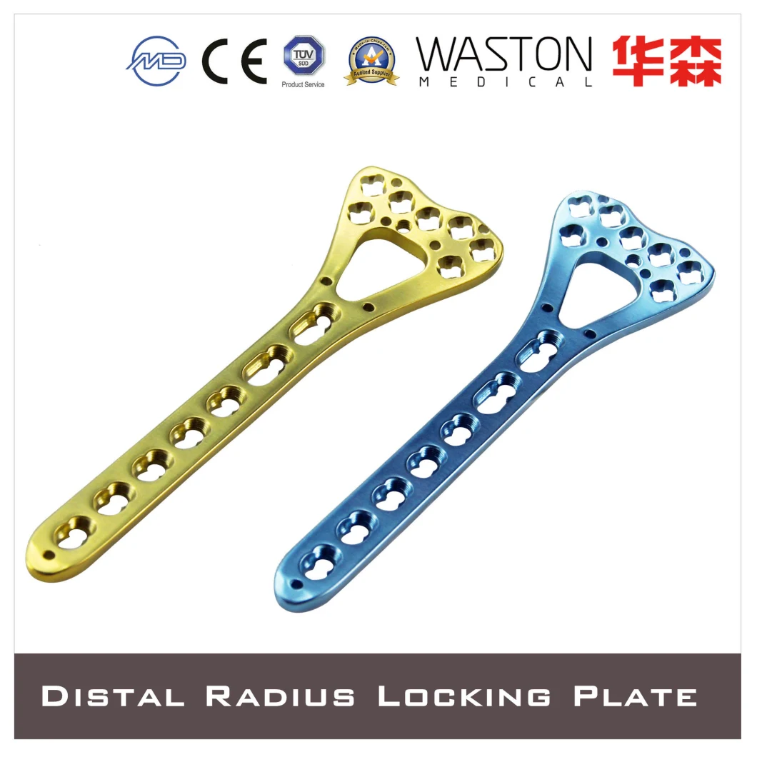 High Quality Surgical Plate, Titanium Plate, Locking Plate, Orthopedic Implant