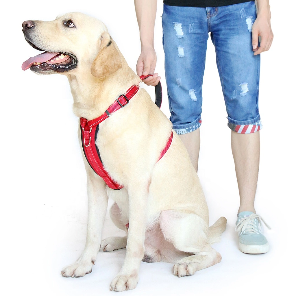 Waterproof Neoprene Soft Reflective Chest Plate Dog Harness with Handle