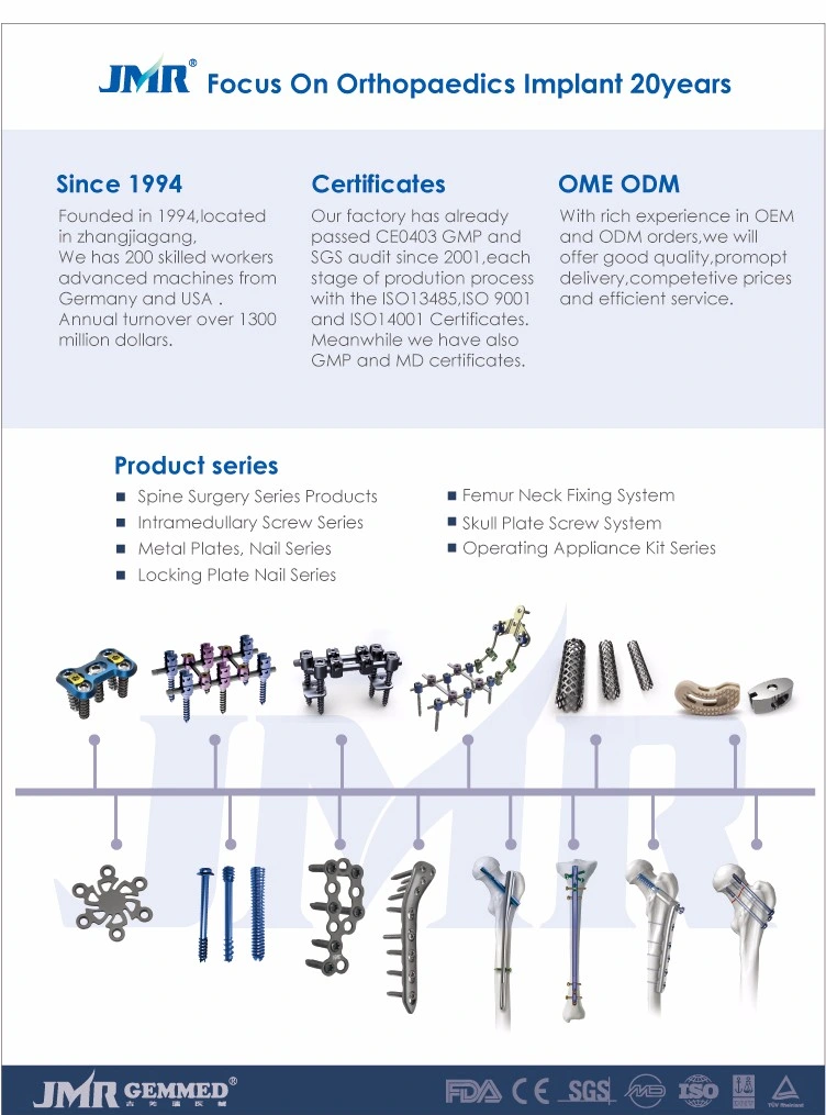 Maxillofacial Implants Manufacturer Skull Cranial Titanium Mesh