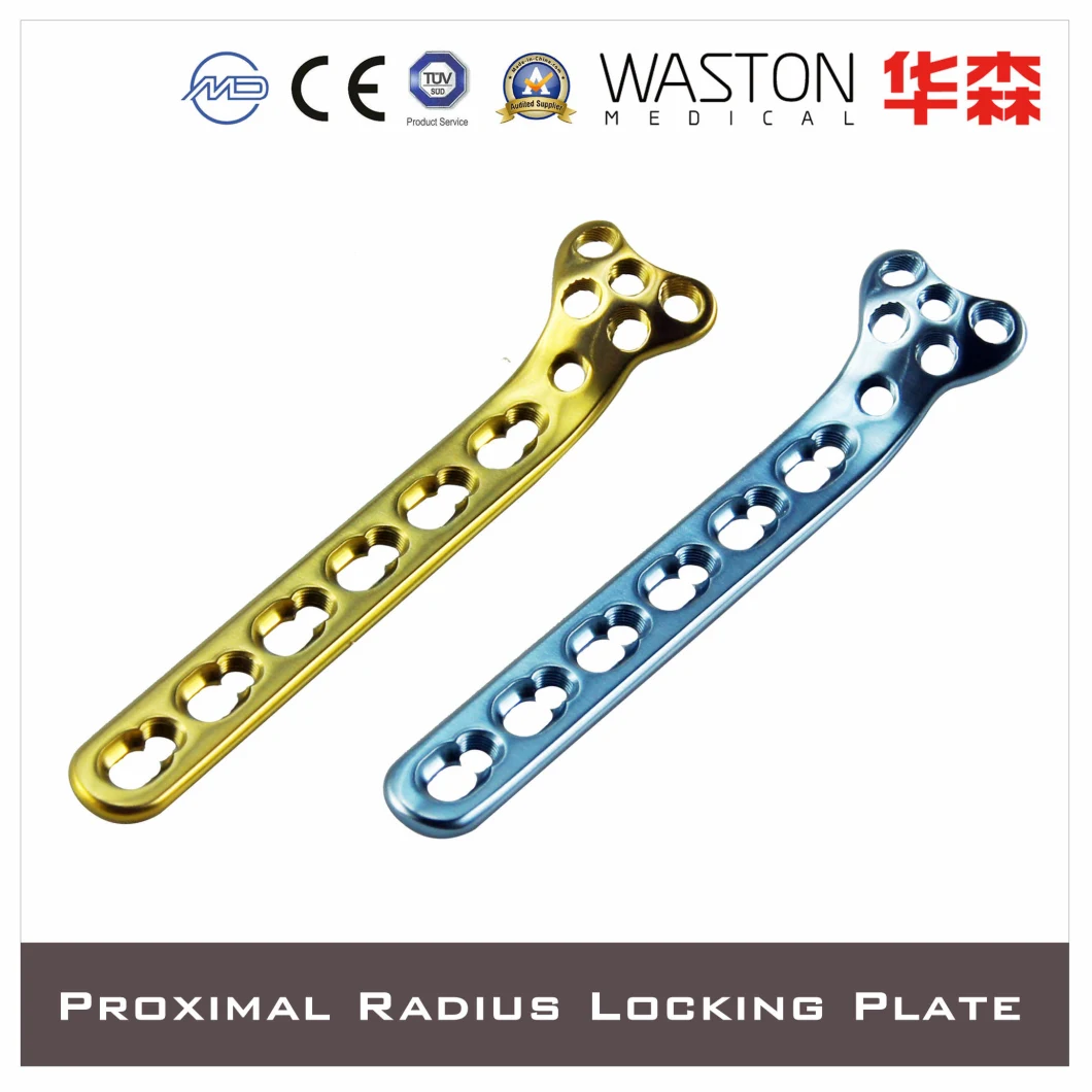 Standard OEM Plate, Titanium Plate, Surgical Instrument, Orthopedic Plate, Locking Plate