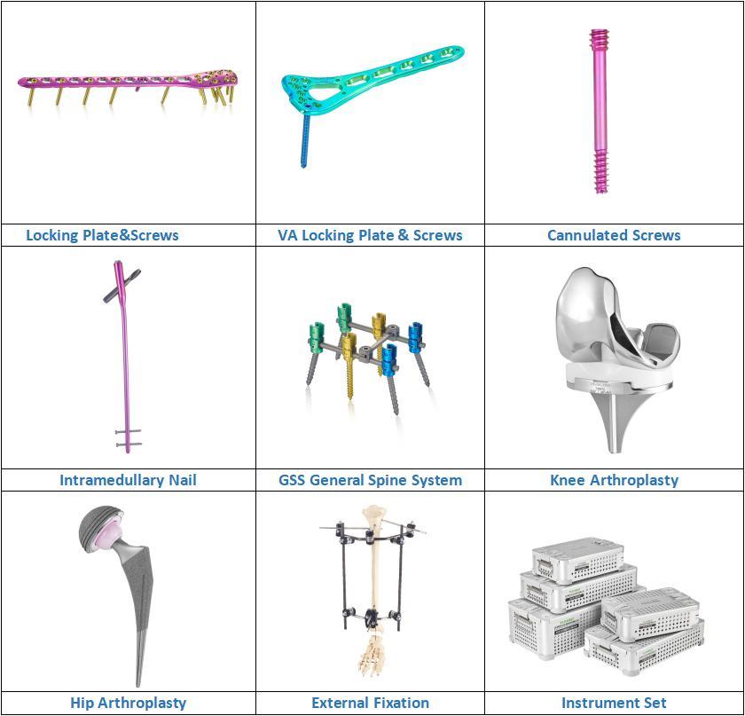 Low Price Proximal Humerus Locking Plate for Proximal Humerus Fracture