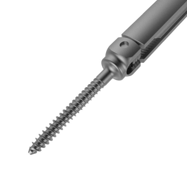Canwell Medical Minimally Invasive Titanium Spine Pedicle Screw, Medical Implant and Instrument