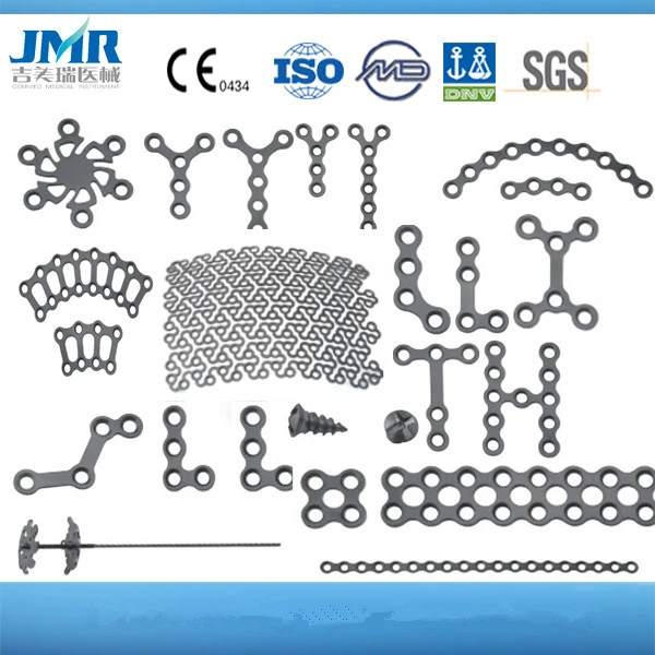 Skull Plate Screw, Titanium Mesh, Mesh Cage, Craniomaxillofacial Surgery