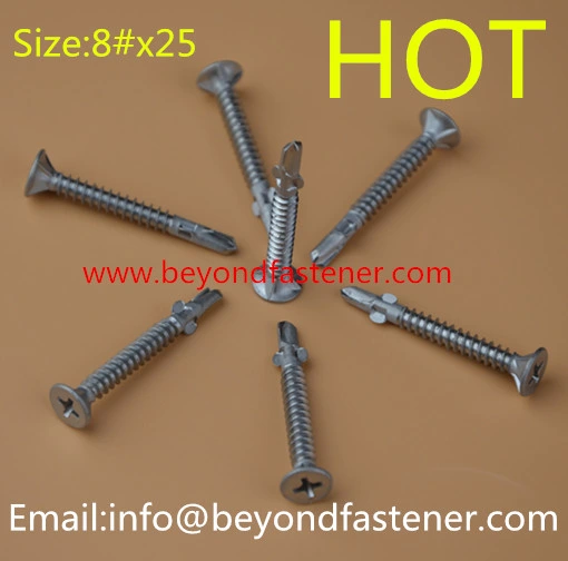 Screw Roofing Screw Hex Screw Bi-Metal Screw Tek Screw