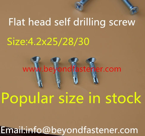Self Drilling Screw /Roofing Screw/ Tek Screw Drill Point Screw Self-Tapping Screw