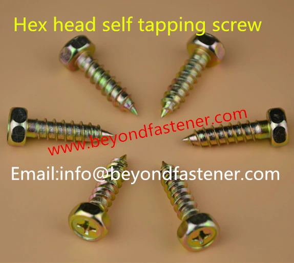 Screw Special Screw Non-Standard Screw Hex Socket Cap Screw Self Tapping Screw