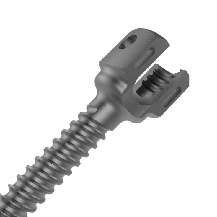 Canwell Medical Standard Monoaxial Pedicle Screw Titanium Surgical Spine Screws Cantsp with Ce, ISO and FDA for Posterior Thoracolumbar Spinal Fixation System