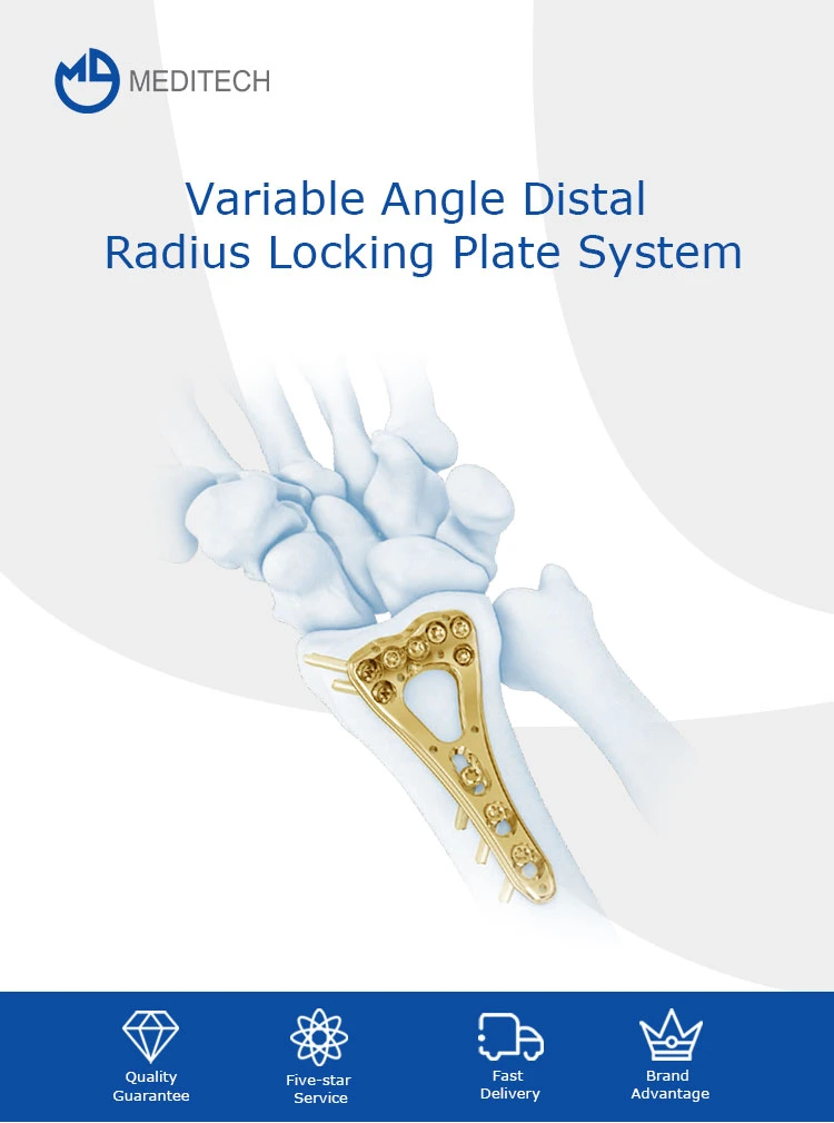 Orthopedic Surgical Instruments 2.4/2.7 Multi-Axial Locking Plates Instrument Set