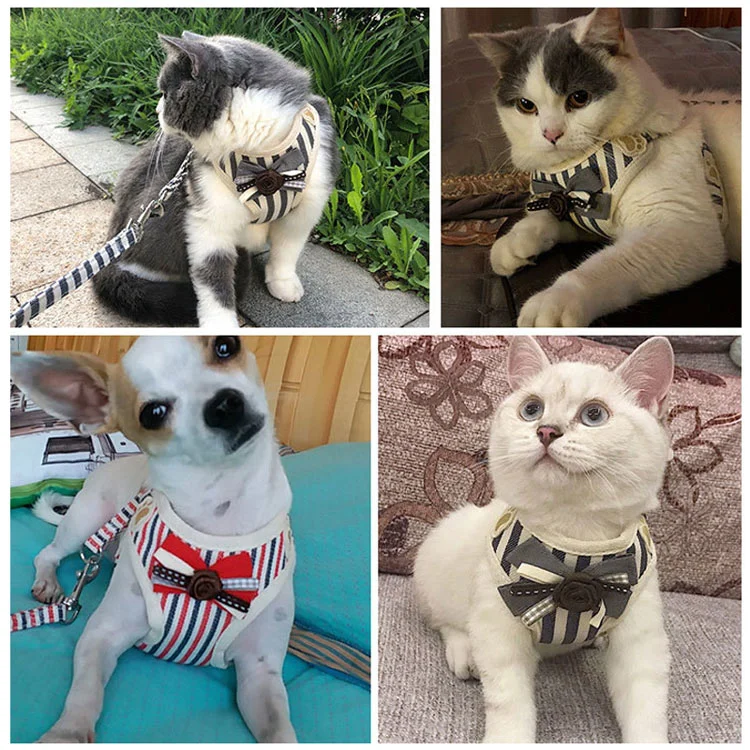 Pet Striped Chest Strap Mesh Breathable Vest Rope Dog Rope Pet Supplies Chest Strap