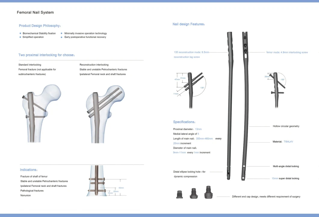 Proximal Expert Femoral Nail, Orthopedic Intramedullary Surgical Nail Implant
