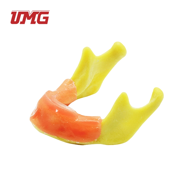Anatomically Shaped Bone Mandible for Implant Placement Practice Model