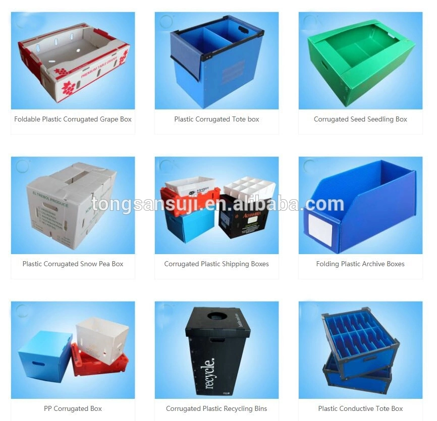 24 Years Leading Manufacture for Plastic Pipe Plastic Hollow Sheet Corrugate Pipe Plastic Machine