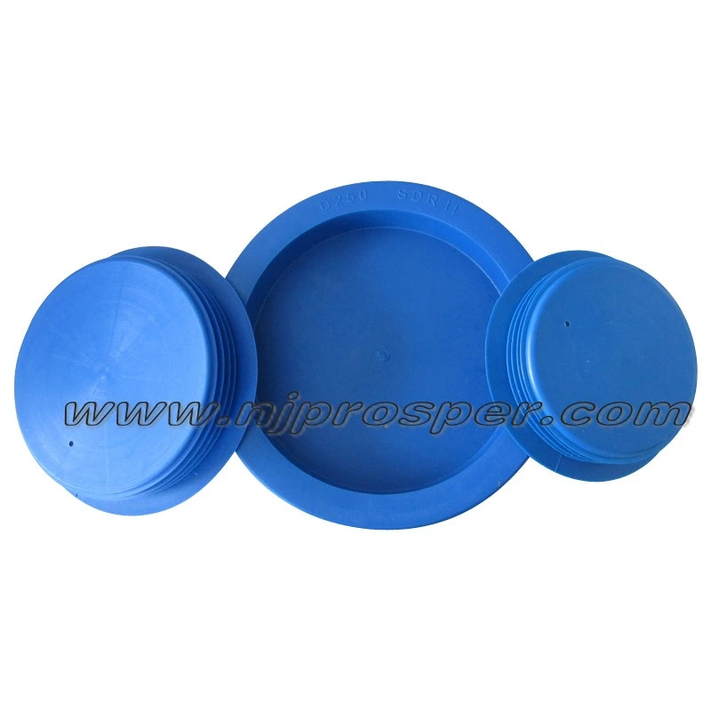 LDPE Gas Pipe/Water Pipe Plastic Inner Plugs (YZF-E116)