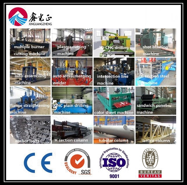 Cheap Steel Frame Building Material (BYSS-114)