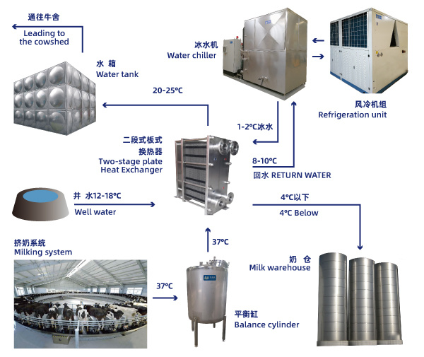 Medium Capacity Milk Processing Stainless Steel Chiller