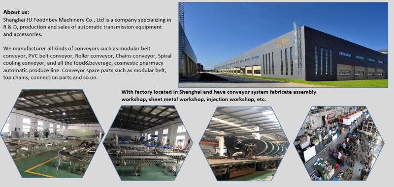 Conveyor Belt System Conveyor Belt for Sale Rubber Conveyor Belt Plastic Modular Conveyor Belt Manufacturer