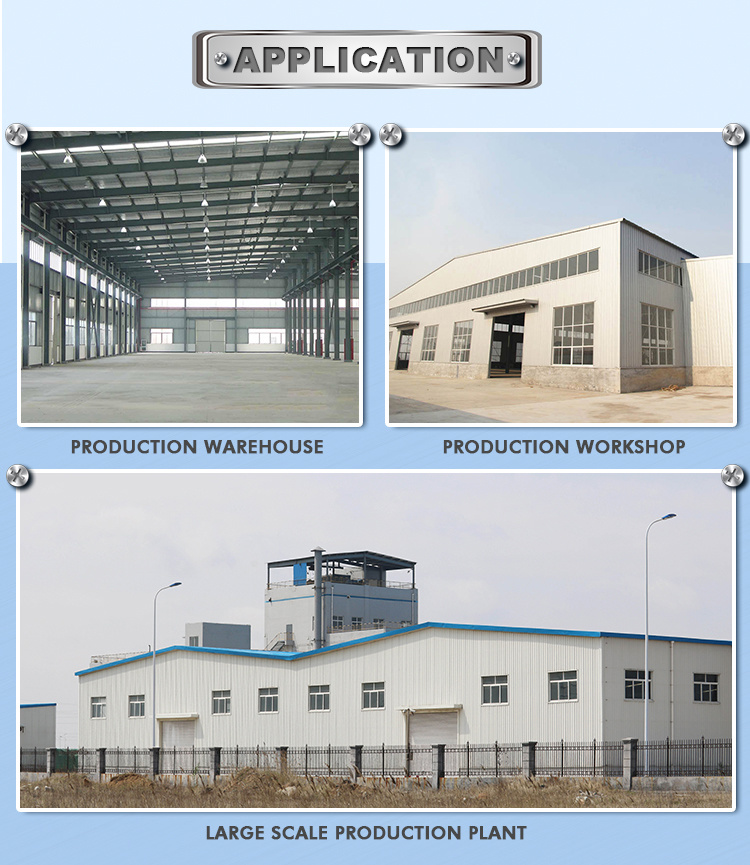 Prefabricated Light Steel Plant/Building Steel Structure (TW702J)