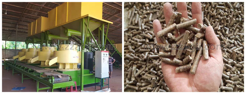 Wood Chips Pellet Production Plant Complete Sawdust Pellet Line