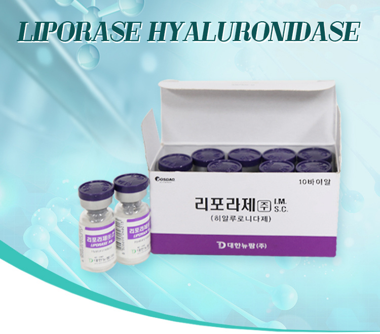 Korea Liporase Hyaluronidase Dissolves Hyaluronic Acid, Facial Dermal Hyaluronidase for Injection to Buy