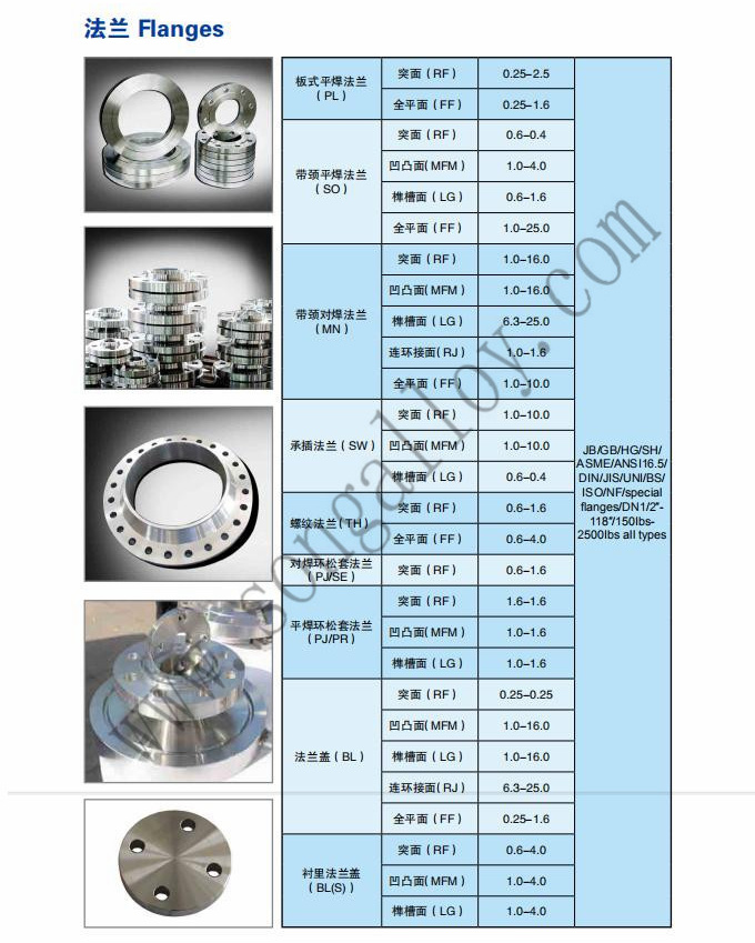 Forged Stainless Steel Flange Ss Flange Stainless Steel Flange