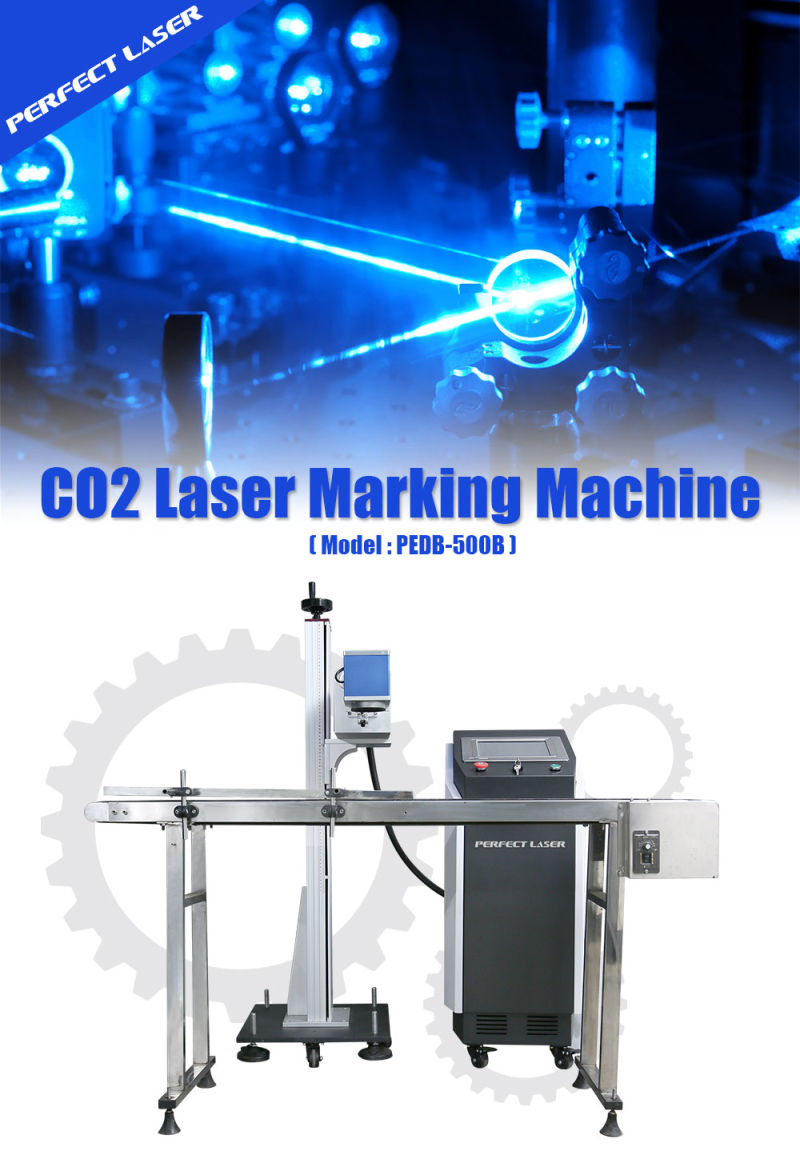 China CO2 Online Flying Laser Jet Marking Etching Machine