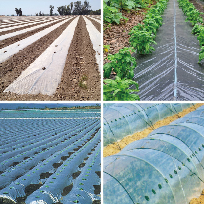 Popular Type Hot Sale Tunnel Plastic Greenhouse Film Agriculture