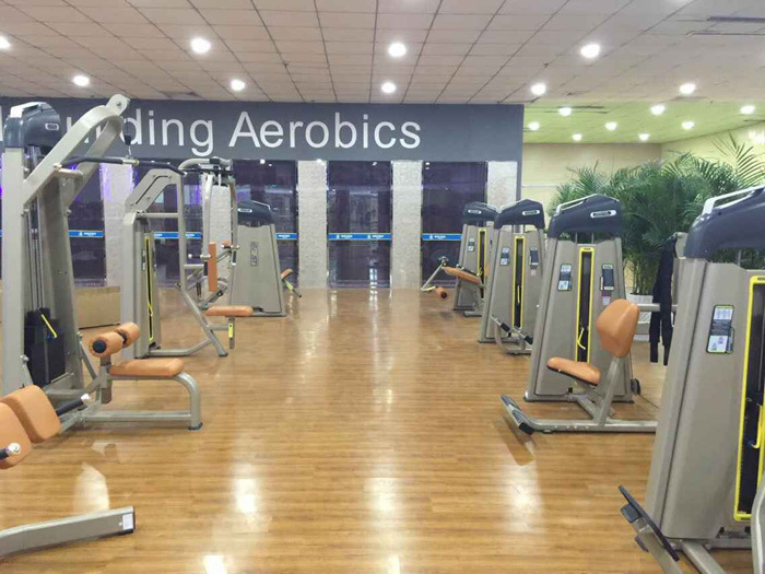 Wholesale Gym Machine Factory Precor Camber Curl Commercial Fitness Equipment
