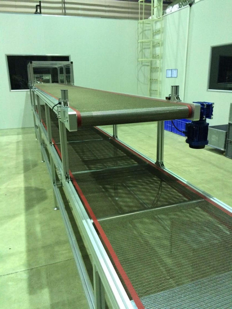 Conveyor Belt System Conveyor Belting Modular Wire Mesh Belt Conveyor Plastic