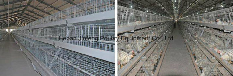 Automatic /Semi Automatic Poultry Equipment for Broiler Chickenon Sell