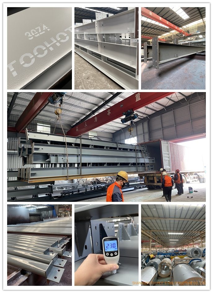 Industrial Steel Structure Low Cost Industrial Shed Designs Gas Station Petrol Station Canopy