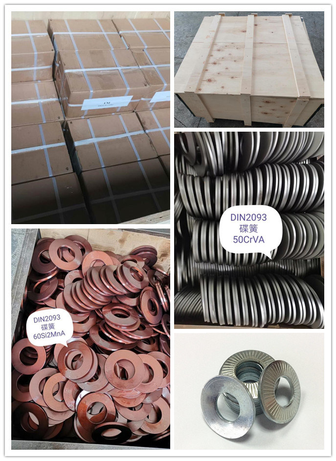Custom Different Sizes Stainless Steel/Carbon Steel/DIN 2093 Disc Springs