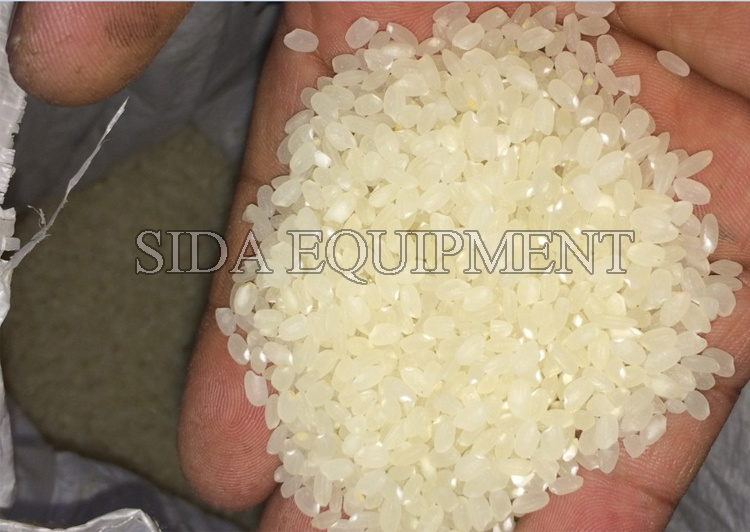 Low Price Mini Rice Mill in Pakistan/Auto Rice Mill Price