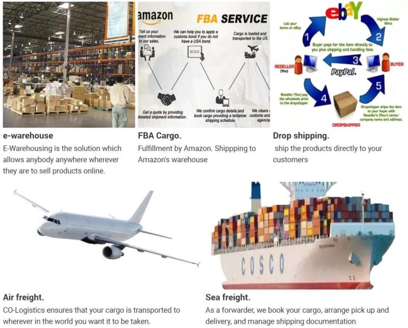 Freight Forwarder to Amazon Fba DHL FedEx Logistics Company Shipping Agent