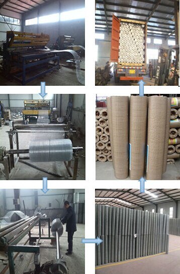 Lower Price Construction Wire Mesh /Welded Wire Mesh