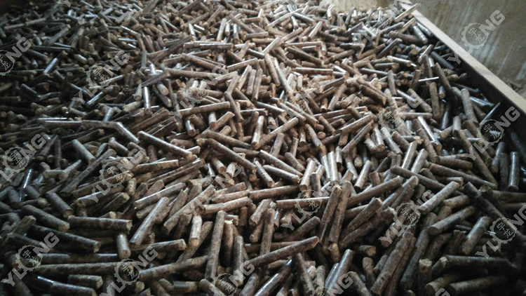 Wood Pellet Machine Making Biomass Pellets