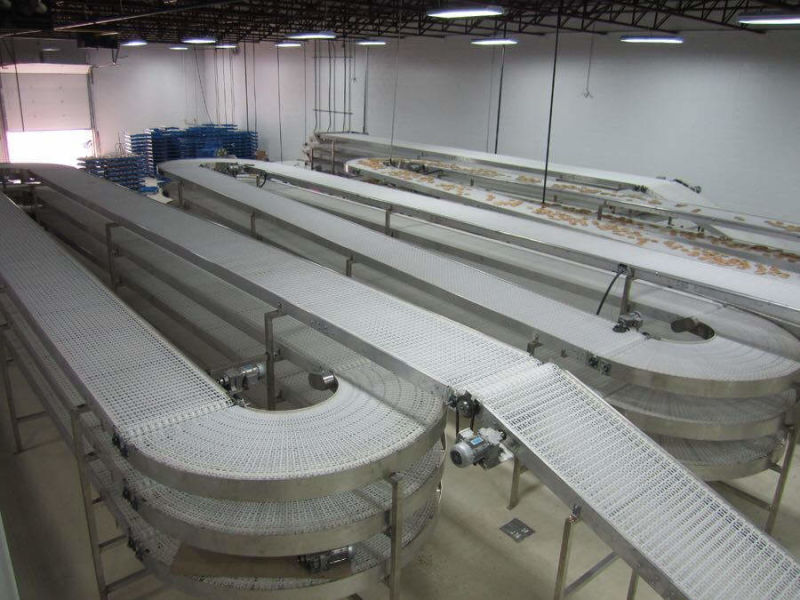 Plastic Wire Mesh Conveyor Belt / Sprokect Mesh Plastic Conveyor Warehouse