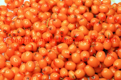 Cherry Tomato Grader / Olive Size Grader Machine / Cheap Stainless Steel Fruit Size Sorting Machine