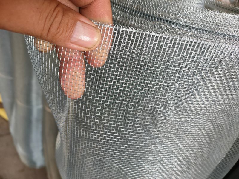 Galvanized Square Wire Mesh Insect Mesh Mosquito Wire Mesh