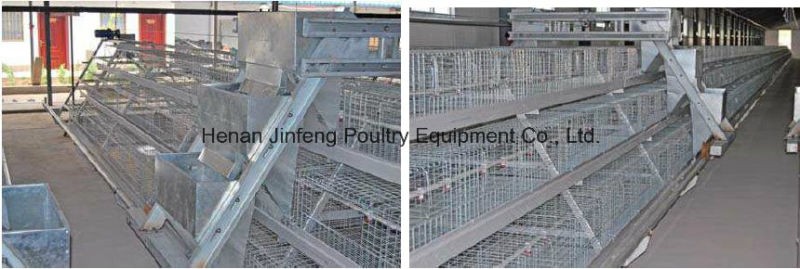 Automatic /Semi Automatic Poultry Equipment for Broiler Chickenon Sell