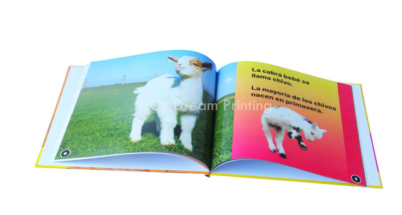 Professional Manufacturer of Custom Paper Printing Side-Sewn Graining Hard Cover Book