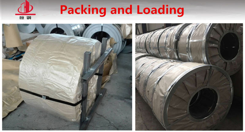 Steel Material Price Hot Dipped Gi Galvanized Steel Strip