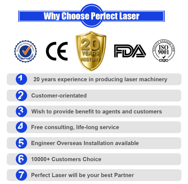 China CO2 Online Flying Laser Jet Marking Etching Machine