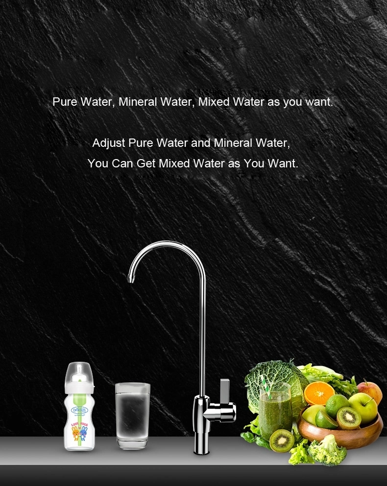 Home RO Water Purifier Without Tank Reverse Osmosis