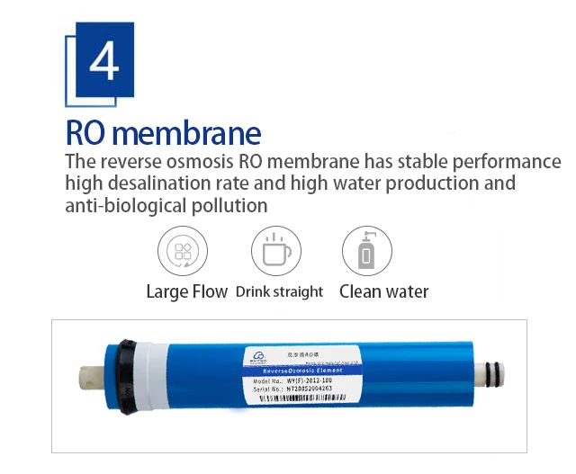Personal Osmosis Inversa RO 5 Stage Water Purifier