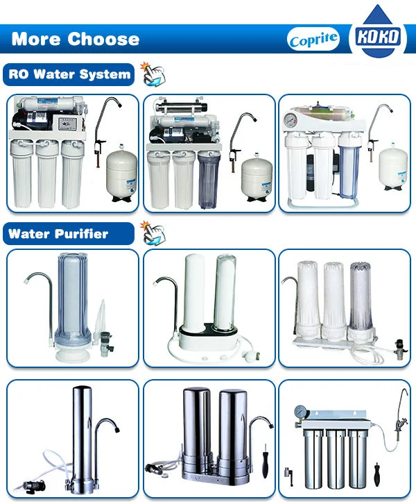 Reasonable Price PP/as Water Purifier Filter for Filtration Rust