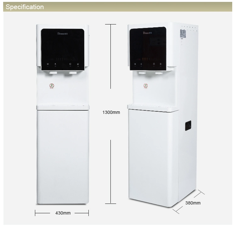Luxury Floor Standing Water Purifier/Water Dispenser with Refrigerator