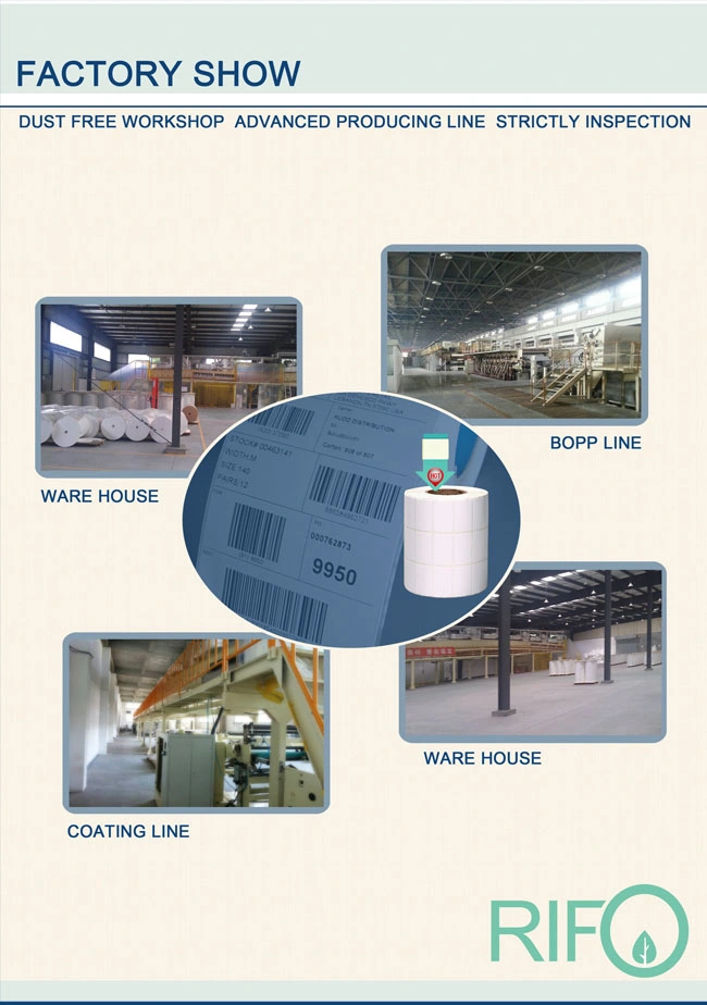 Customized Direct Thermal Label Paper and Thermal Transfer Barcode Label Roll Sticker
