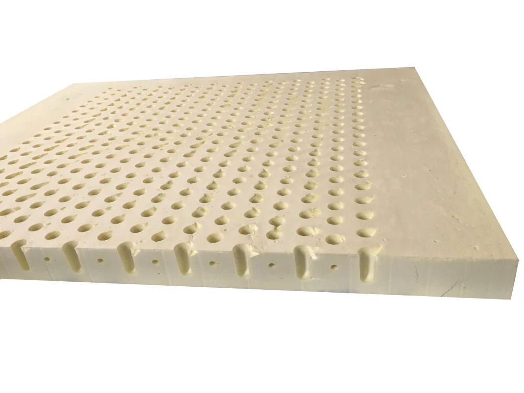 High Air Permeability Sponge Environmental Protection Mattress with Removable and Washable Design